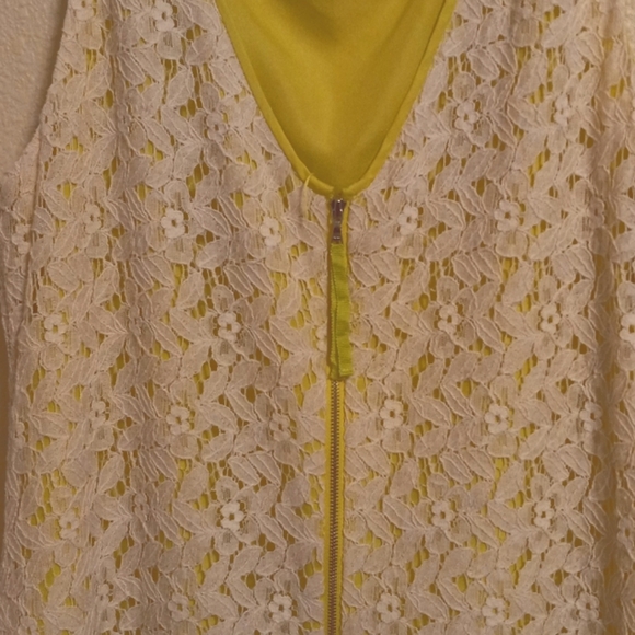 Ann Taylor Loft White Lace, Lime Green Lined Dress, Size 10 - Picture 5 of 9